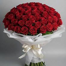 Букет 101 Красная роза Блэк Мэджик в Вилино