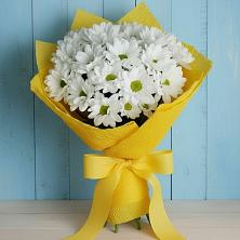Букет цветов из:  Хризантемы в Вилино