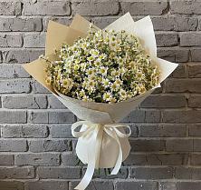 Букет цветов из:  Ромашки #REPLACE_PRED# Вилино