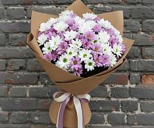 Букет цветов из:  Хризантемы #REPLACE_PRED# Вилино