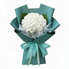 Букет цветов из:  Гортензия в Вилино